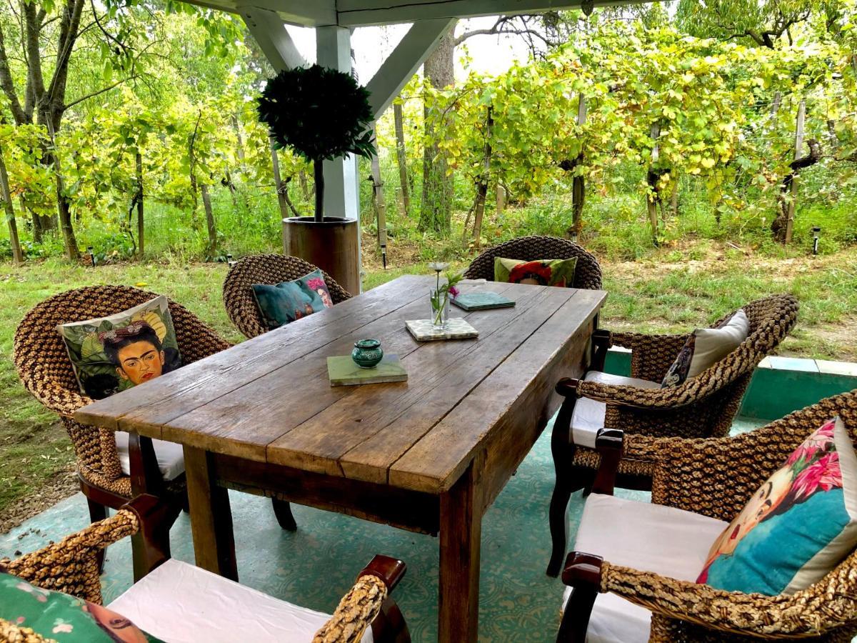 Bohemian Eco Lodge At Lake Balaton Kisapati Buitenkant foto