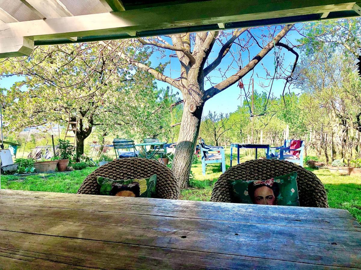 Bohemian Eco Lodge At Lake Balaton Kisapati Buitenkant foto
